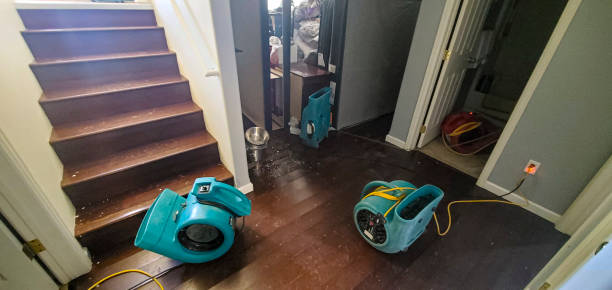 Best 24-hour water damage restoration  in Desert Hot Springs, CA