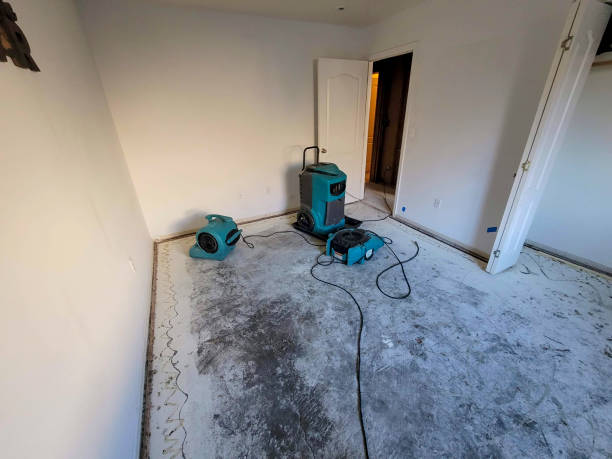 Best Local water damage restoration  in Desert Hot Springs, CA