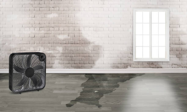 Best Flood damage cleanup  in Desert Hot Springs, CA