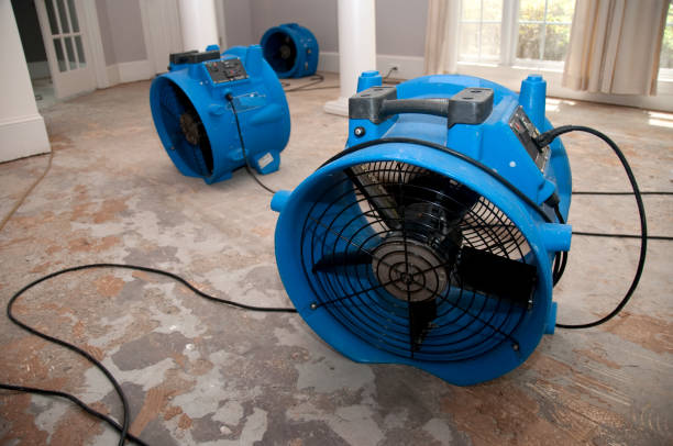Best Ceiling water damage repair  in Desert Hot Springs, CA
