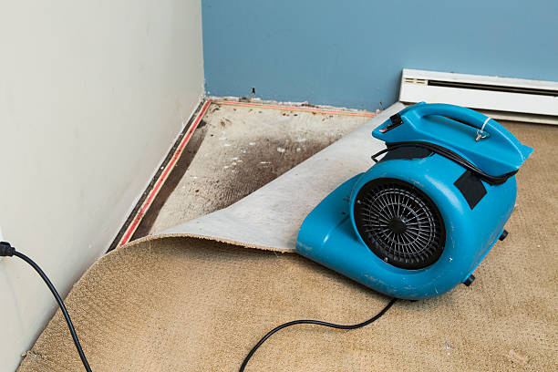 Best Fire Damage Restoration  in Desert Hot Springs, CA